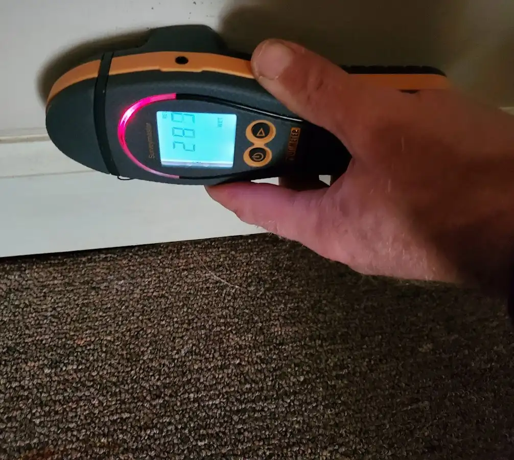 Moisture detection at baseboard during Sewage Cleanup & Sanitation in Adairsville